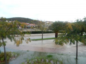 DSCN2813